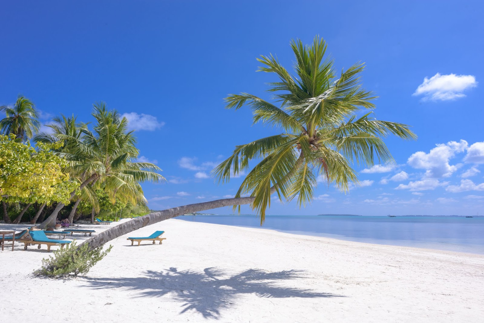 picture of one of the best honeymoon destinations on a budget: a sandy beach lined with palm trees and beach chairs